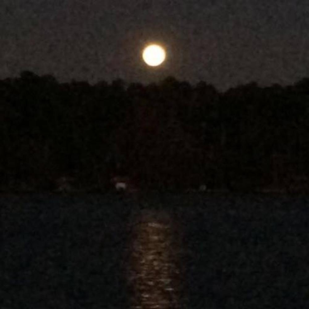 Meet your Posher, Carmen